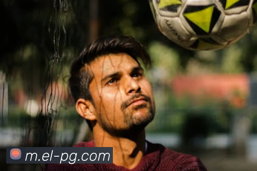 pg模拟器服务体系